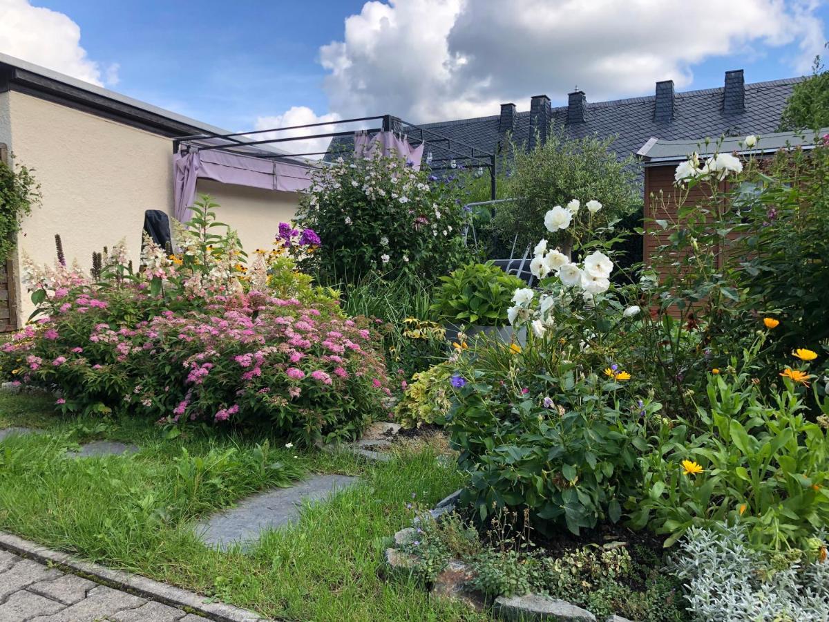 Am Duerrenbachtal Apartment Klingenthal Exterior foto
