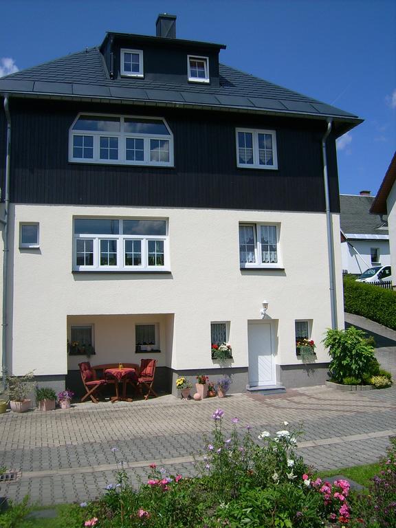 Am Duerrenbachtal Apartment Klingenthal Exterior foto