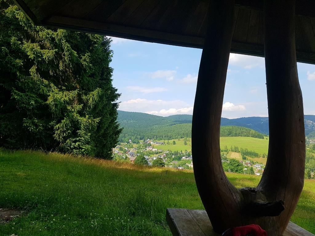 Am Duerrenbachtal Apartment Klingenthal Exterior foto